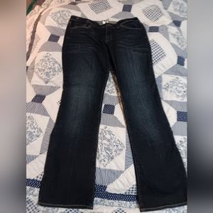 Jordache Embroidered Embellished Details Bootcut Jeans